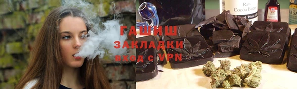 мдпв Ельня