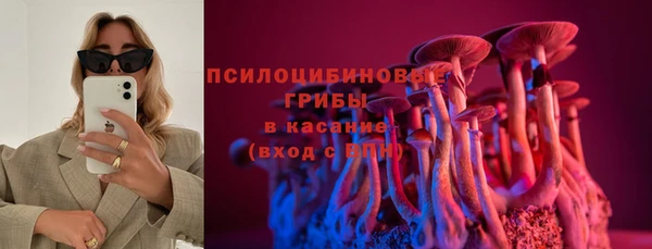 марки lsd Абаза