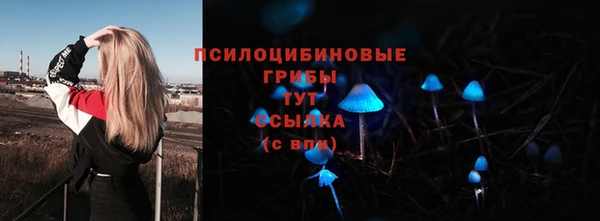 а пвп мука Абдулино