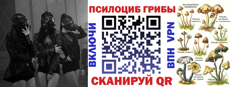 закладка  Усолье  Псилоцибиновые грибы MAGIC MUSHROOMS 